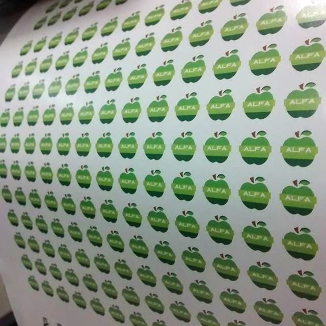 Lacres casca de ovo personalizados com logotipo